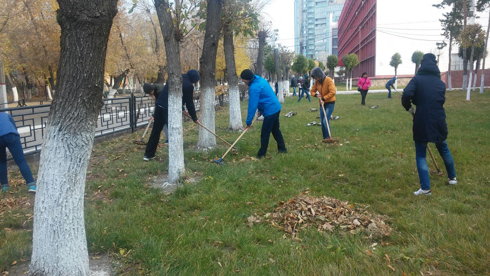 IMG-20151010-WA0009