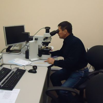 Микроструктурные исследования в МИСИС