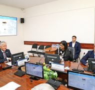 IMG_0613 (1)