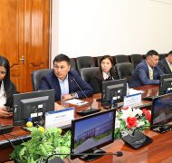 IMG_0645 (1)