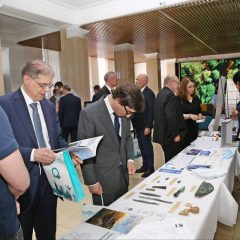 image-17-06-25-09-18-12