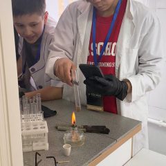 WhatsApp Image 2025-11-08 at 13.31.30