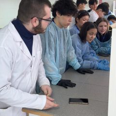 WhatsApp Image 2025-11-08 at 15.46.27 (3)