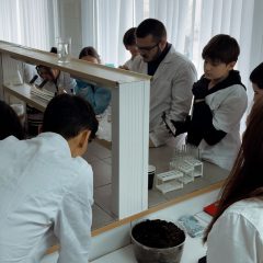 WhatsApp Image 2025-11-10 at 10.54.06