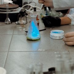 WhatsApp Image 2025-11-10 at 10.54.15