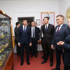 WhatsApp Image 2025-11-13 at 17.59.44