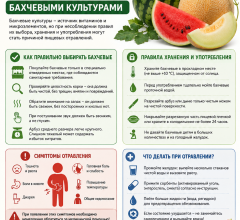 Рисунок1 (1)